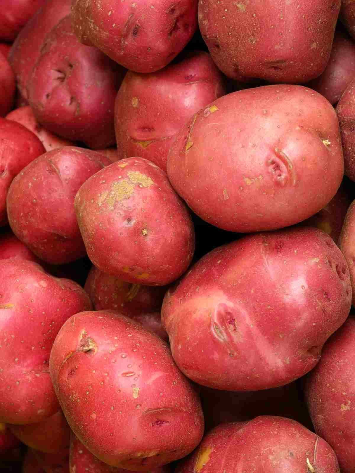 Red Potato