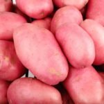 Red Potato