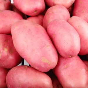 Red Potato