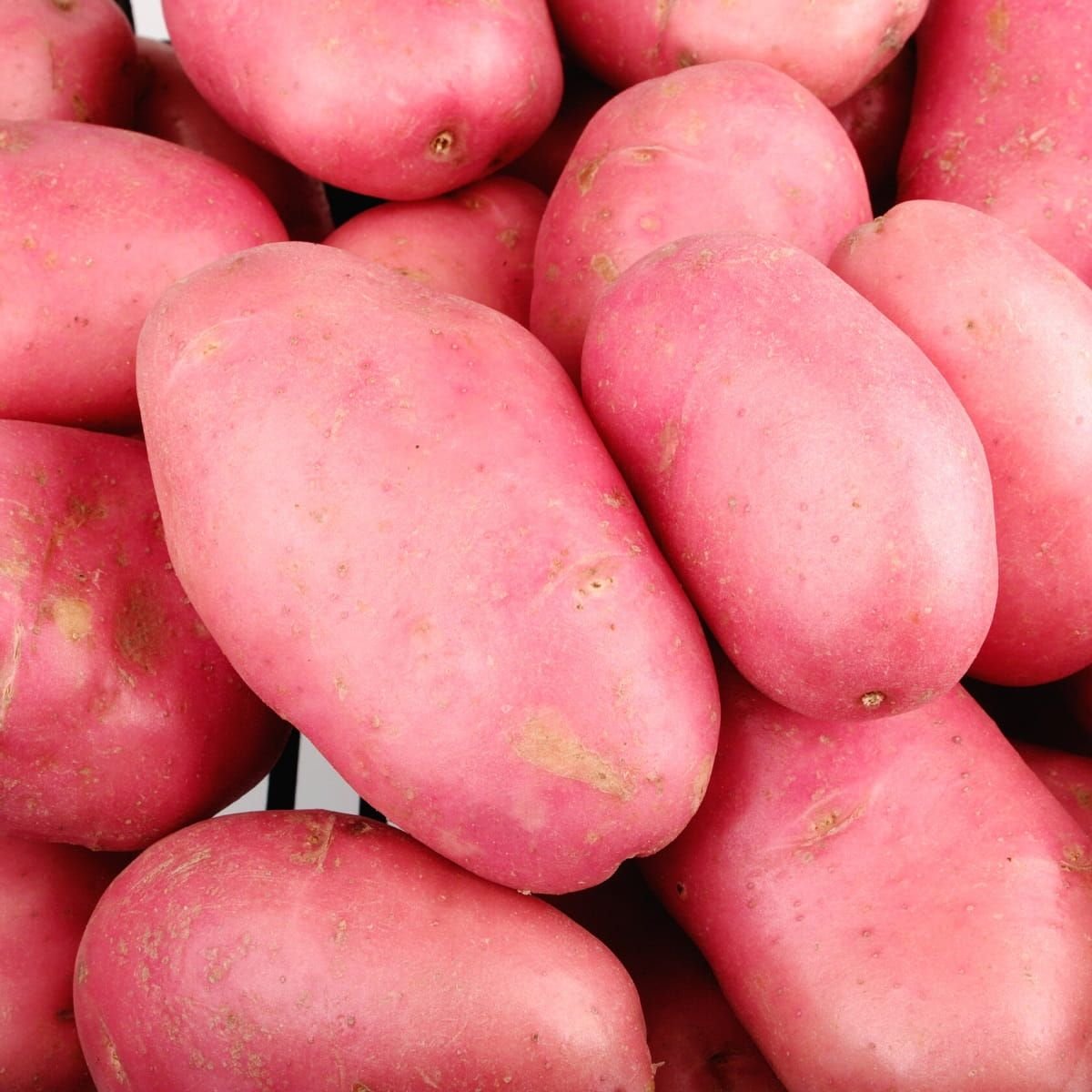 Red Potato