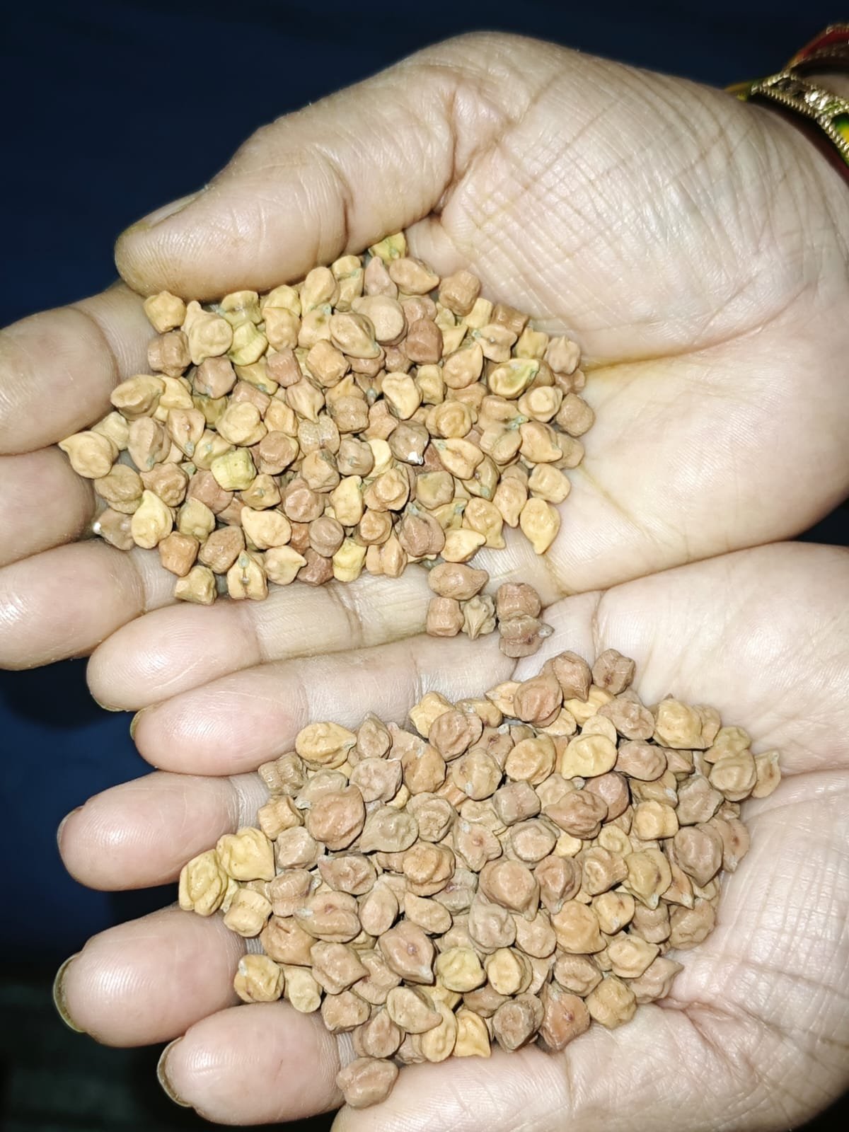 Bihari Black Chana